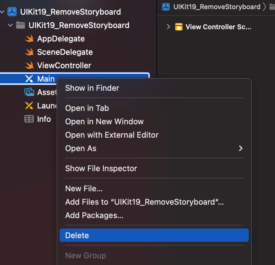 Eliminamos el fichero Main (el Storyboard de nuestra app)